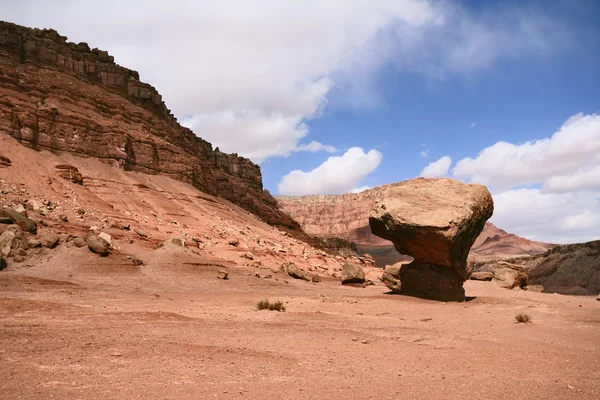 "蘑菇"的砂岩巨人 — 图库照片
