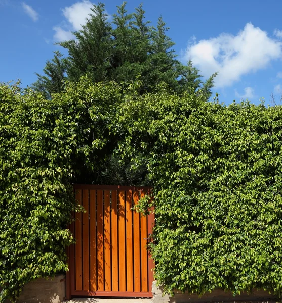 黄色の木製の門 — ストック写真