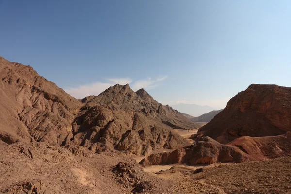 Un paesaggio biblico - deserto del Sinai in inverno — Foto Stock