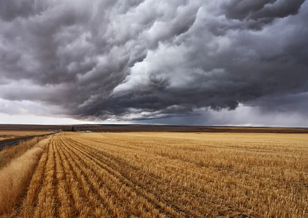 Gewitterwolken über Feldern — Stockfoto