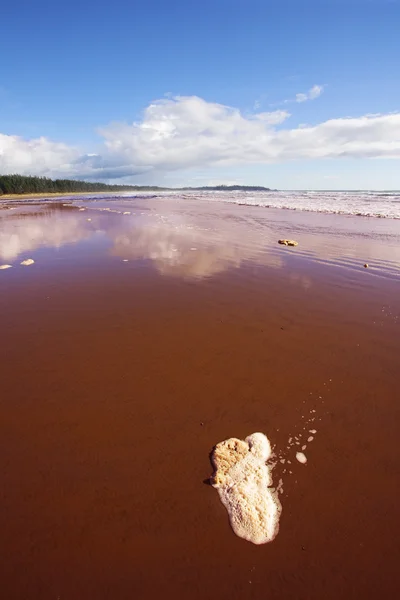 Espuma do mar na areia — Fotografia de Stock