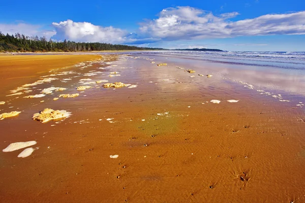 Der Meerschaum auf Sand — Stockfoto