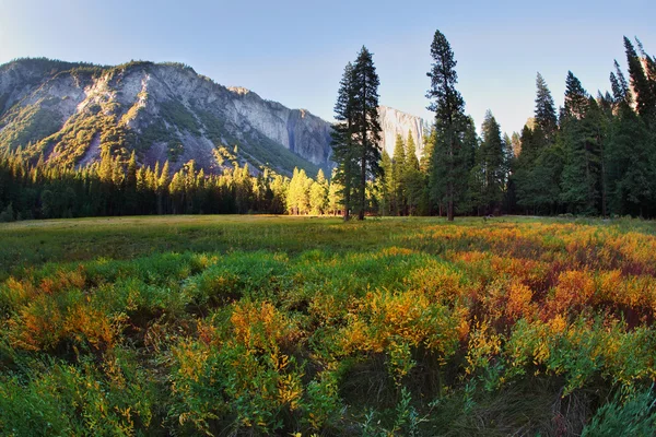 A bela clareira em Yosemite em um pôr-do-sol — Fotografia de Stock