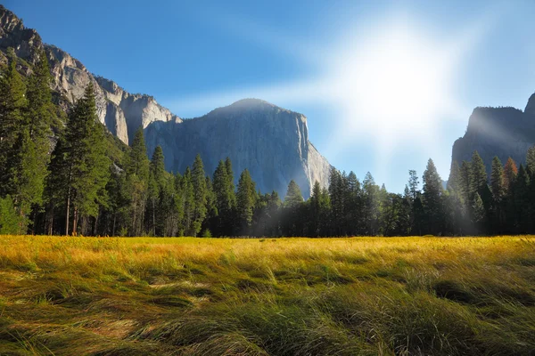 Den glade i Yosemite park på en solopgang - Stock-foto