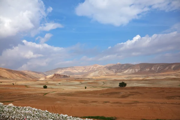 Napkelte a sivatagban sinai. — Stock Fotó