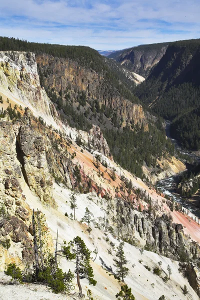 Woody canyon — Stock Image Woody canyon Royalty Free Stock Photos