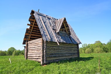 Wooden rural house on green field clipart