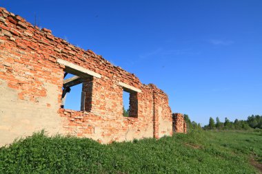 otlar arasında tuğla duvar yıkıldı