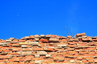 otlar arasında tuğla duvar yıkıldı