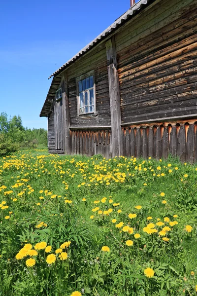 古い木製の農村部の建物の近くのタンポポ — ストック写真