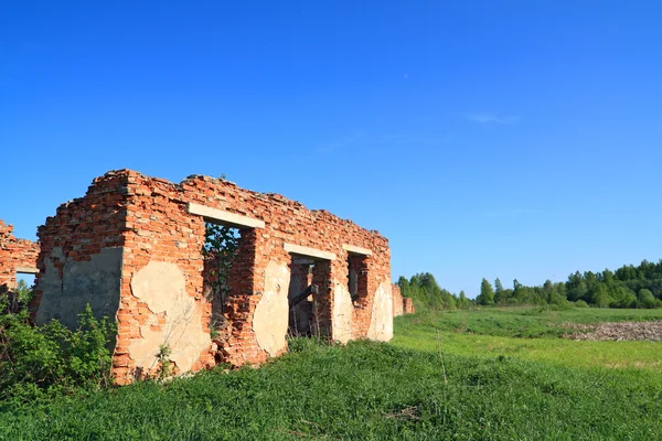Разрушенная кирпичная стена среди трав — стоковое фото