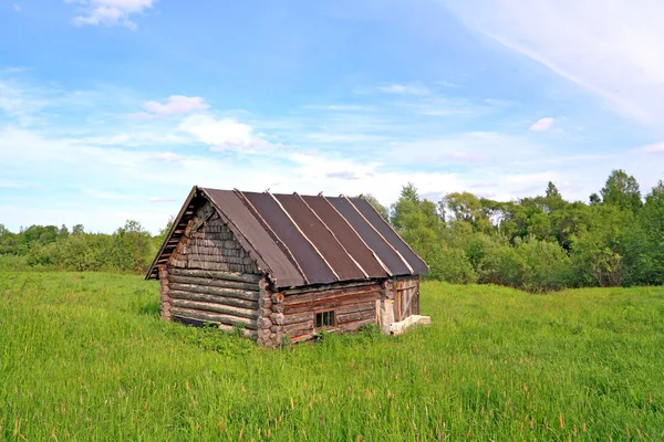 A zöld mező, régi, vidéki lakóház — Stock Fotó