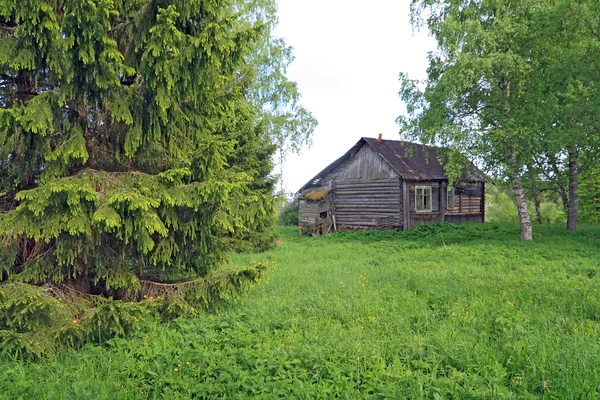 Old rural house on green field — Stock Photo, Image