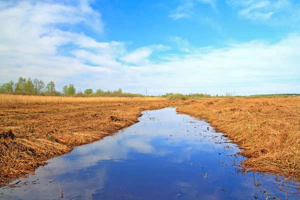Pequeño río entre hierba seca en campo de primavera —  Fotos de Stock