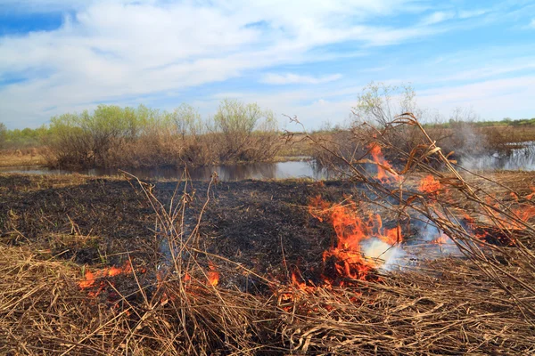 Червоний вогонь на весняному полі в сухій траві — стокове фото