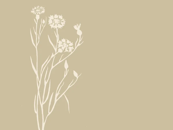 Feldblume auf braunem Hintergrund, Vektorillustration — Stockvektor