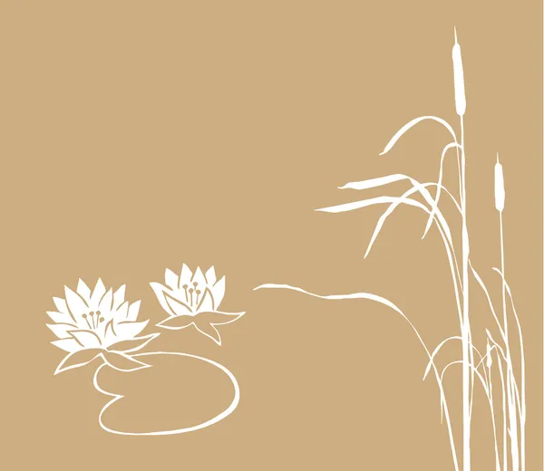 水中百合和棕色背景，矢量图上的芦苇 — 图库矢量图片