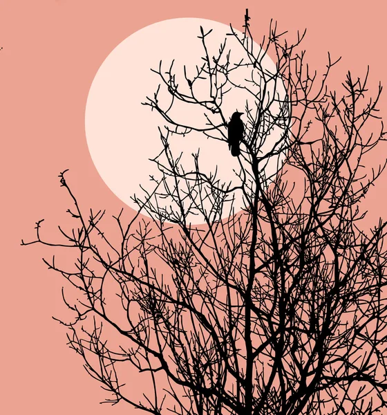 Vogelsilhouette auf solarem Hintergrund, Vektorillustration — Stockvektor