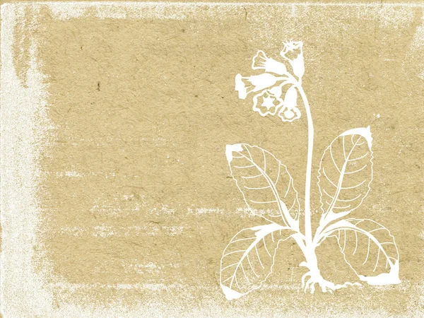 Silhueta de flor em papel velho — Fotografia de Stock