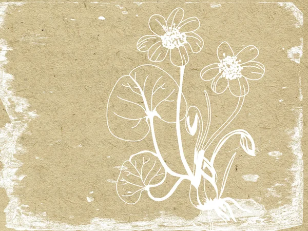 오래 된 종이에 꽃 실루엣 — 스톡 사진