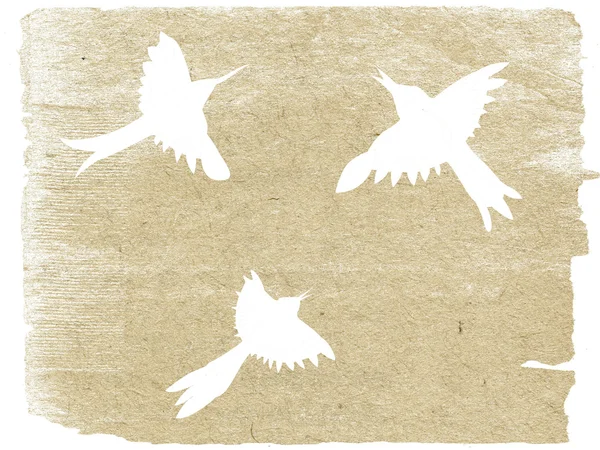 Silhouette d'oiseaux sur vieux papier — Photo