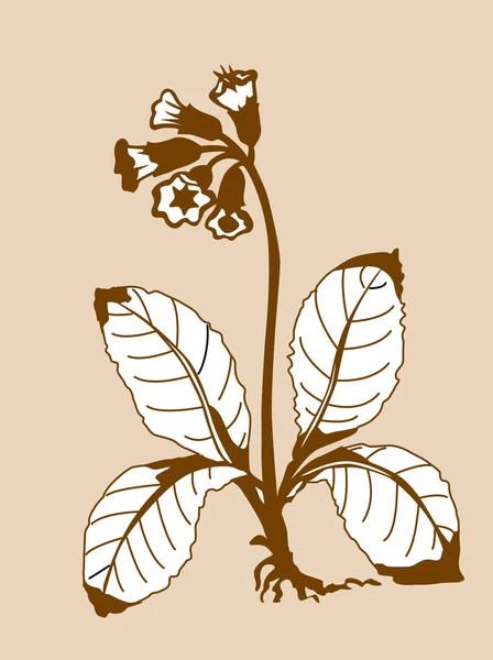 Alan üzerinde kahverengi zemin, vektör çizim çiçek siluet — Stok Vektör