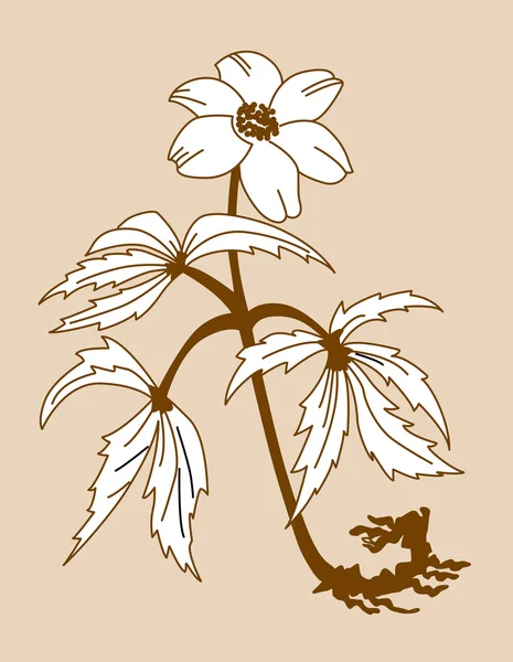 Champ silhouette fleur sur fond marron, illustration vectorielle — Image vectorielle