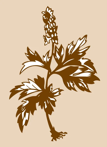 Silueta de flor de campo sobre fondo marrón, ilustración vectorial — Vector de stock