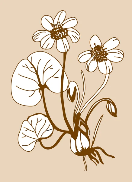Field flower silhouette on brown background, vector illustration — Stock Vector