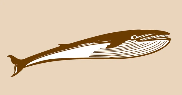 Silueta de ballena sobre fondo amarillo, ilustración vectorial — Vector de stock