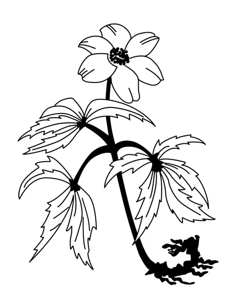 Champ silhouette fleur sur fond blanc, illustration vectorielle — Image vectorielle