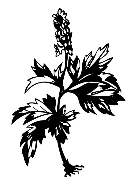 Silueta de flor de campo sobre fondo blanco, ilustración vectorial — Vector de stock