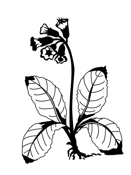 フィールドの花シルエット ベクトル イラスト白い背景の上 — ストックベクタ