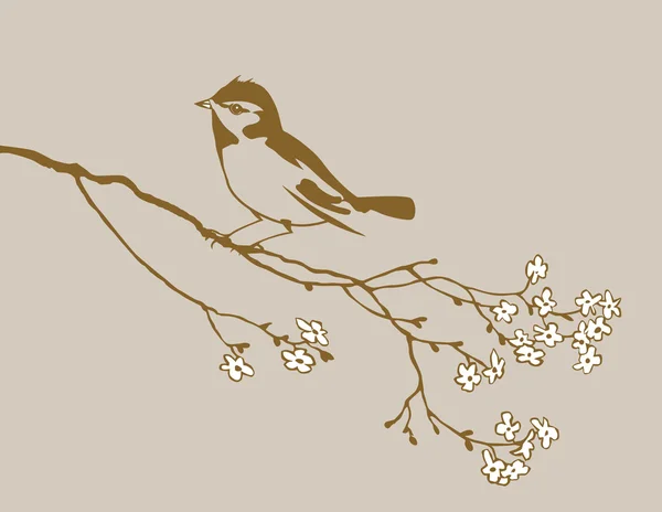 Kahverengi zemin, vektör çizim üzerinde kuş siluet — Stok Vektör