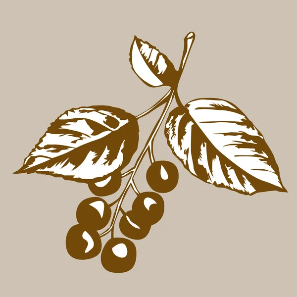 En sorts körsbärsträd på brun bakgrund, vektor illustration — Stock vektor