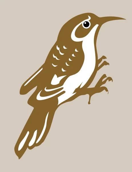 Silueta nuthatch sobre fondo marrón, ilustración vectorial — Vector de stock