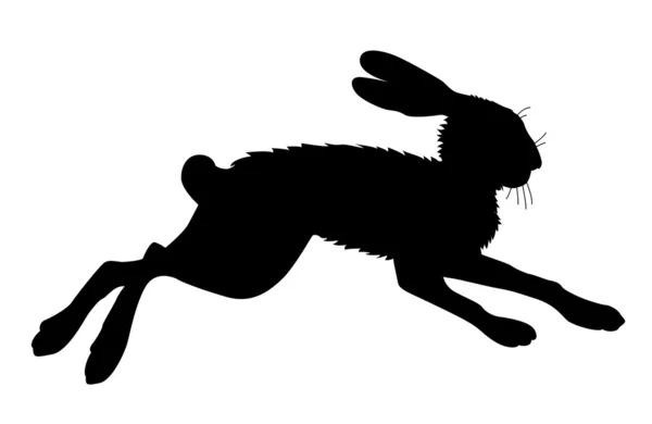 Silhouette lièvre sur fond blanc, illustration vectorielle — Image vectorielle