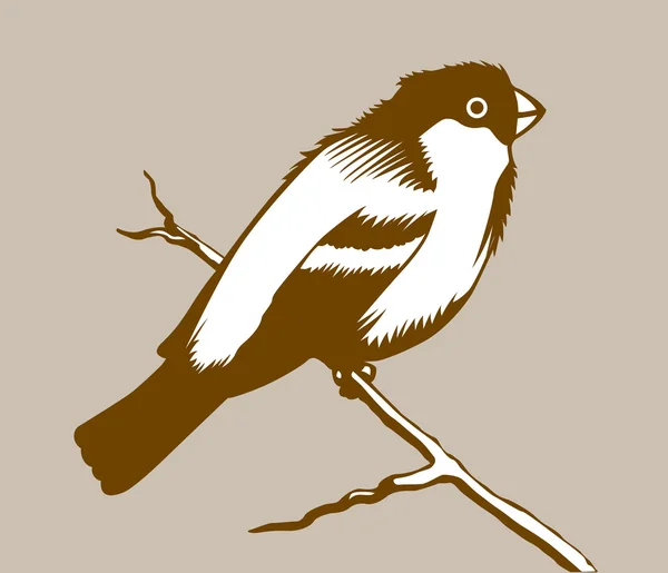 Vogel-Silhouette auf braunem Hintergrund — Stockvektor