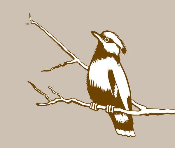 Vogel silhouet op bruine achtergrond — Stockvector