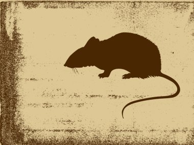 rat silhouette on grunge background, vector illustration clipart