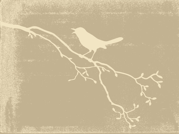 Bird silhouette on old paper, vector illustration
