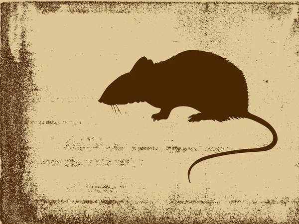 大鼠剪影矢量插画 grunge 背景上 — 图库矢量图片