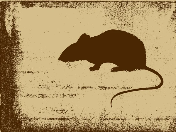 Rat silhouette on grunge background, vector illustration — Stock Vector
