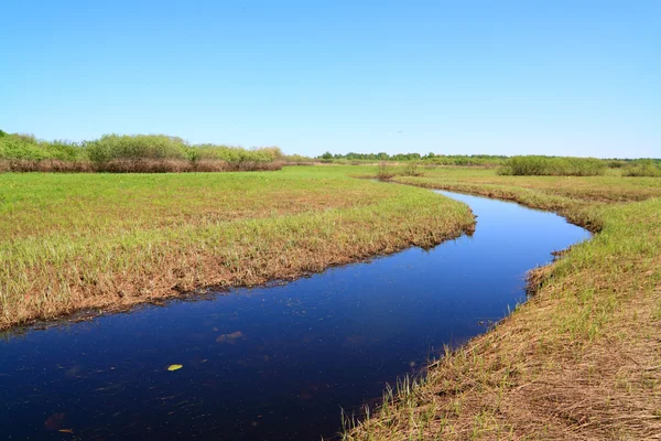 Kleine rivier op lente veld — Stockfoto