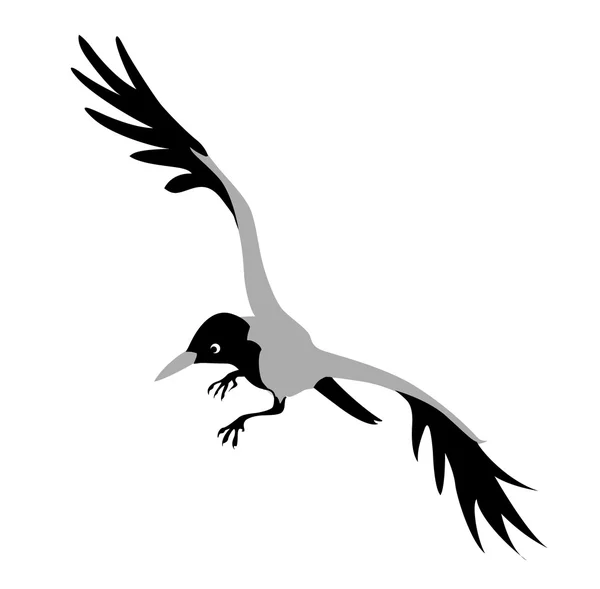 Desenho de corvo em fundo branco, ilustração vetorial — Vetor de Stock