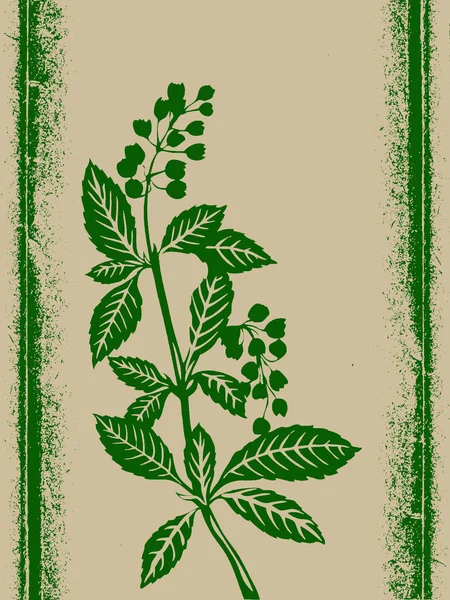 Grunge arka plan, vektör çizim üzerinde yeşil bitki — Stok Vektör