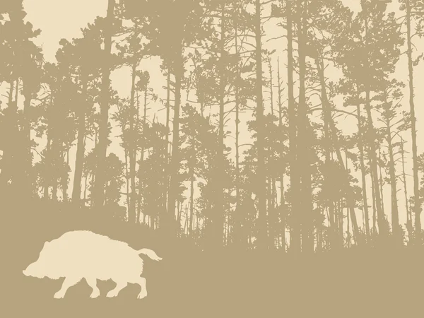 木背景上的野猪剪影 — 图库照片