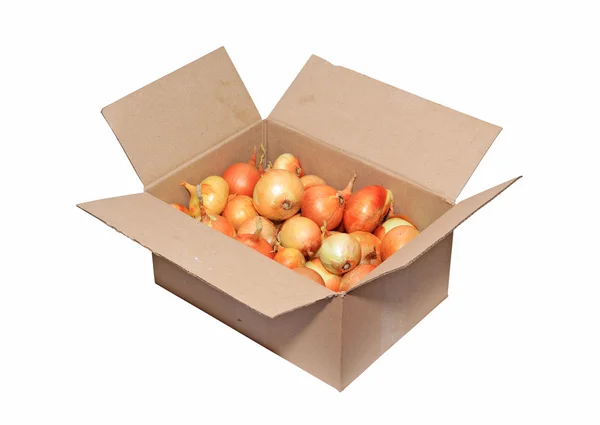 Onion in carton on white background — Stock Photo, Image