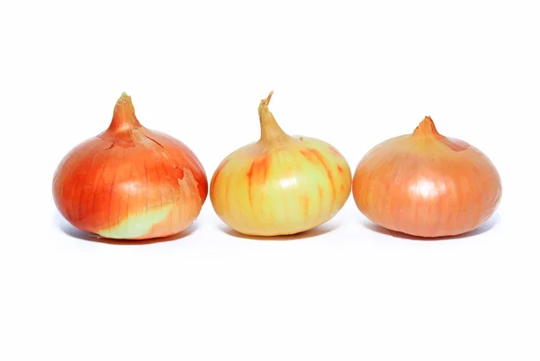 Onion on white background — Stock Photo, Image
