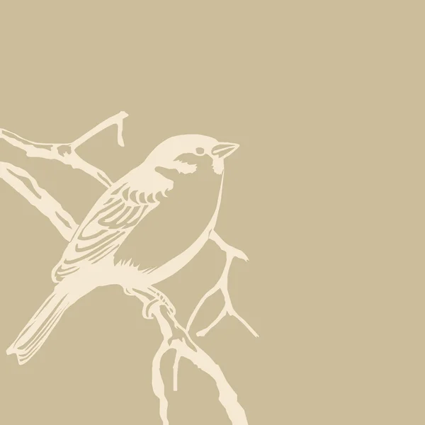 Sylwetka ptaka na starym papierze — Zdjęcie stockowe